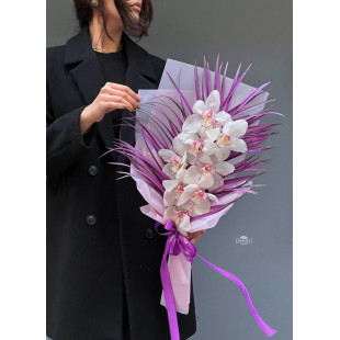Cymbidium çiçekleri